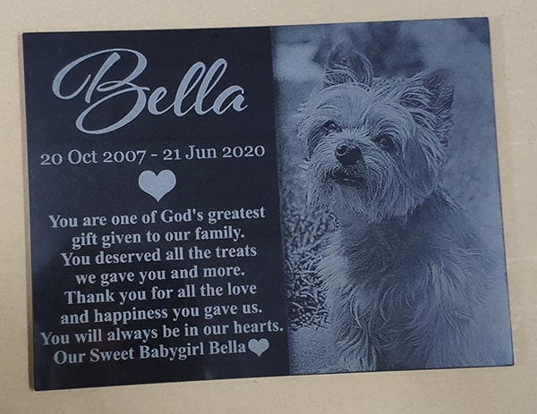 PPMSP-10 dog memorial plaque with photo