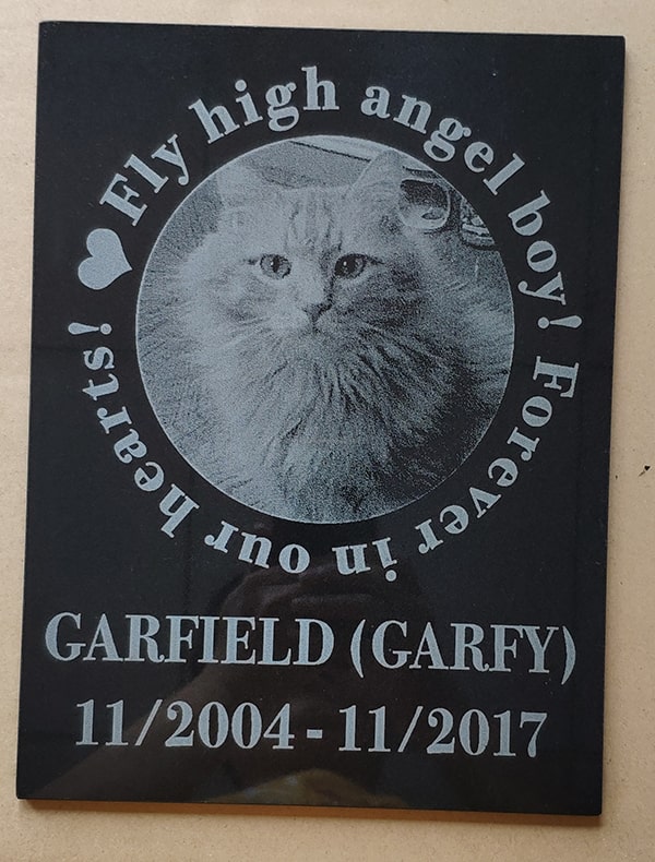 PPMSP-11 cat memorial plaque